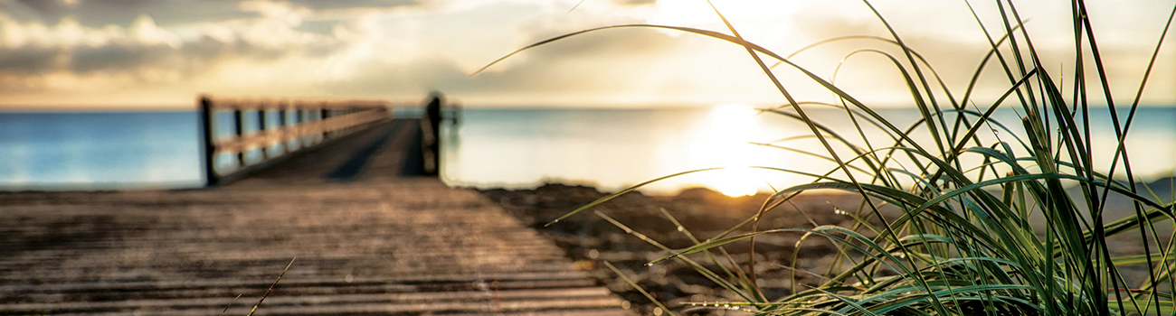 Alysa Lelice Chesnut - Associate Financial Advisor, Ameriprise Financial Services, LLC